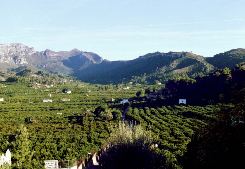 Ribera Alta