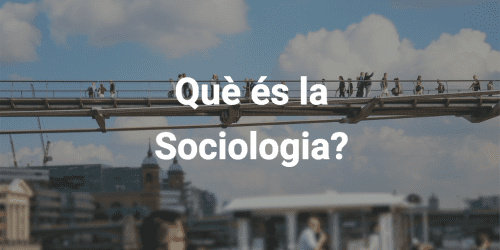 Què és la sociologia?