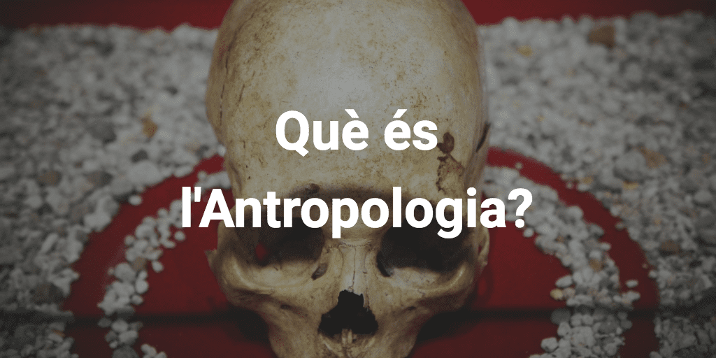 Què és l’antropologia?