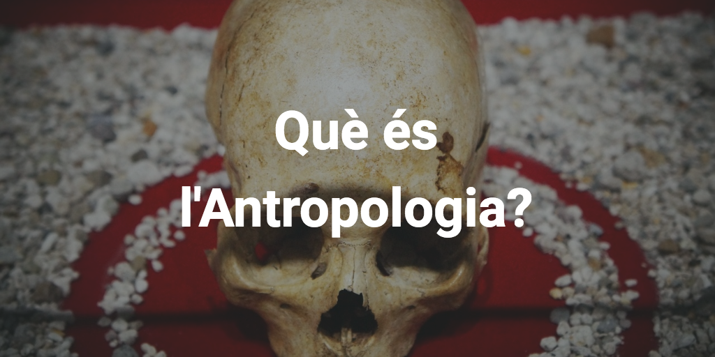Què és l’antropologia?