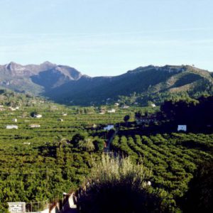 La comarca de La Ribera Alta
